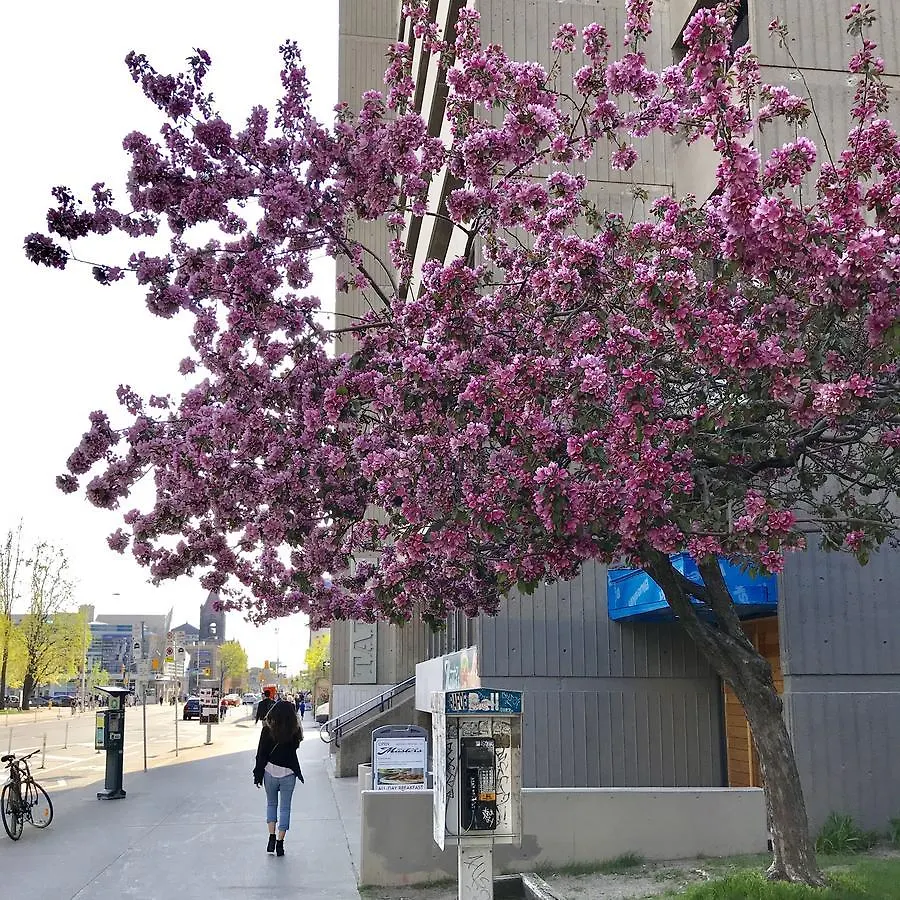 Hotel Tartu College Student Residence Toronto Canada